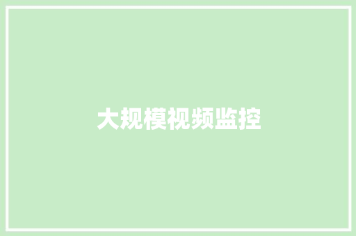 大规模视频监控