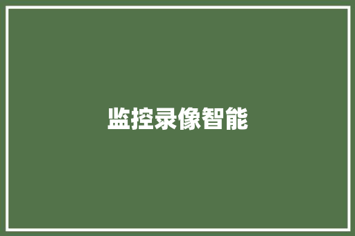 监控录像智能 监控录像智能 智能科技