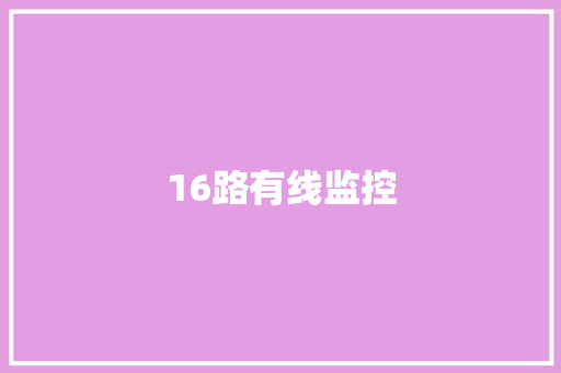 16路有线监控