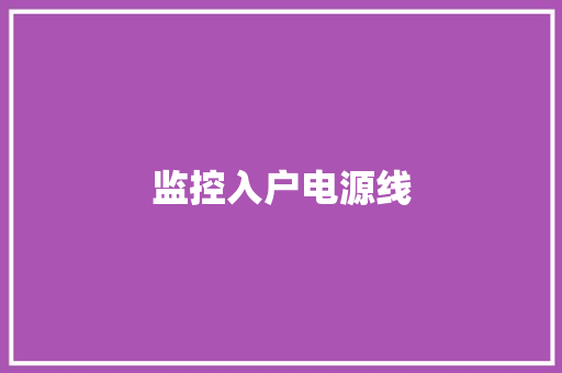监控入户电源线