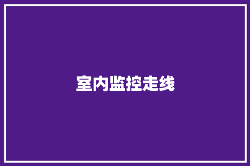 室内监控走线