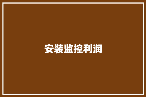 安装监控利润