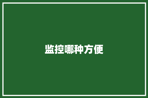 监控哪种方便 监控哪种方便 智能科技