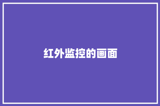 红外监控的画面,红外热像仪。