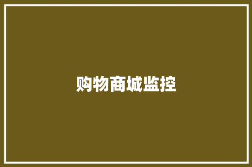 购物商城监控,商场扫地机器人。