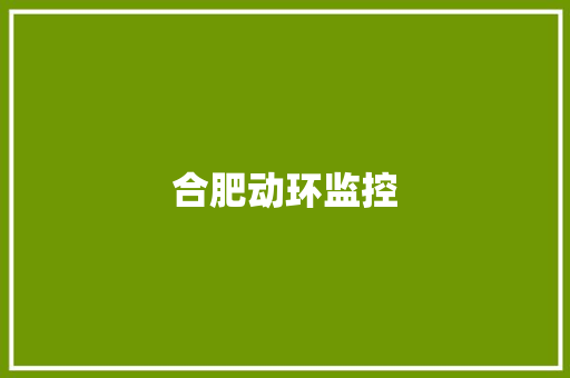 合肥动环监控