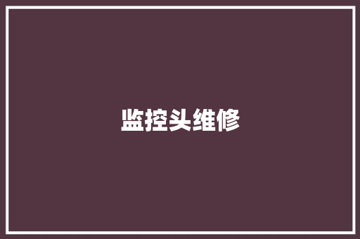 监控头维修