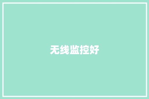 无线监控好