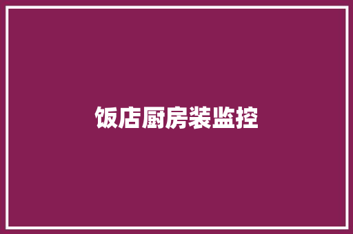 饭店厨房装监控