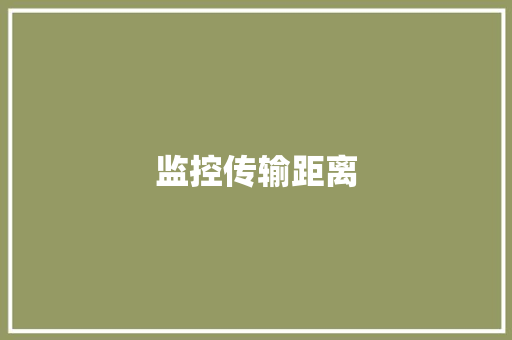 监控传输距离,距离2025春节还有几天。