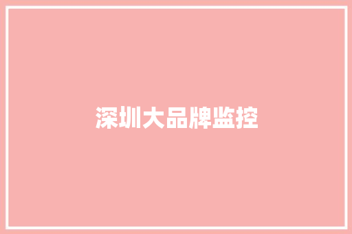 深圳大品牌监控