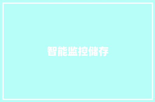 智能监控储存