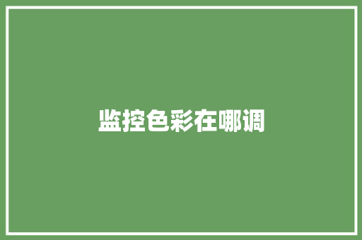 监控色彩在哪调,监控杆生产厂家 专业监控杆厂家。