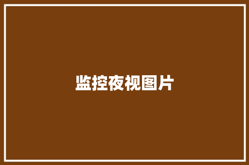 监控夜视图片