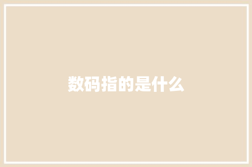 数码指的是什么