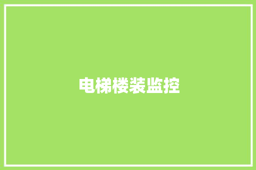 电梯楼装监控,摄像头监控哪个品牌好。