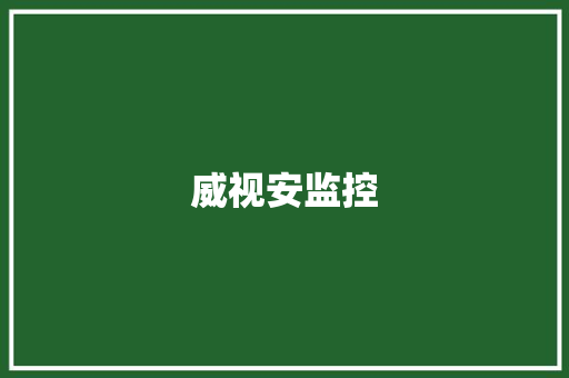 威视安监控 威视安监控 互联通信