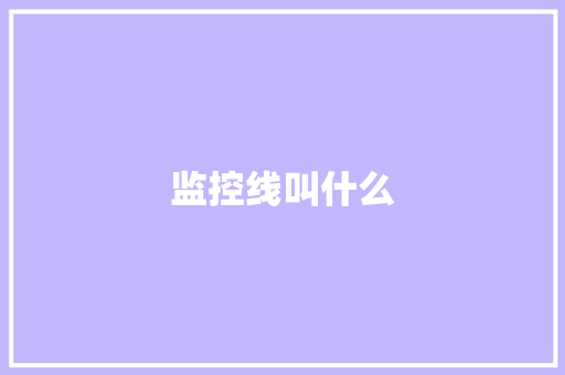 监控线叫什么