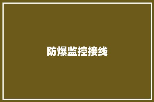 防爆监控接线