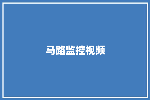 马路监控视频