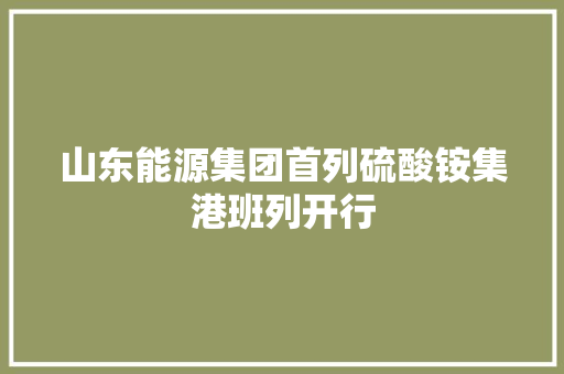 山东能源集团首列硫酸铵集港班列开行