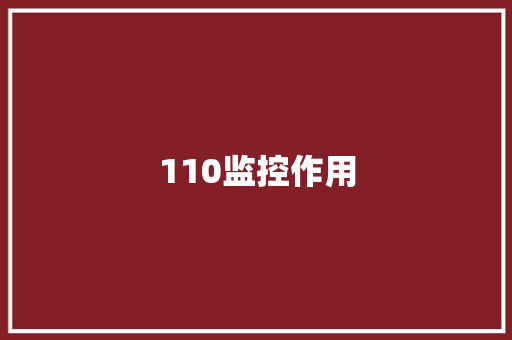 110监控作用