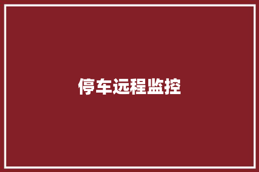 停车远程监控