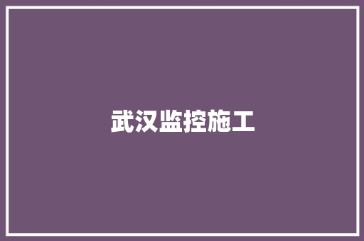 武汉监控施工