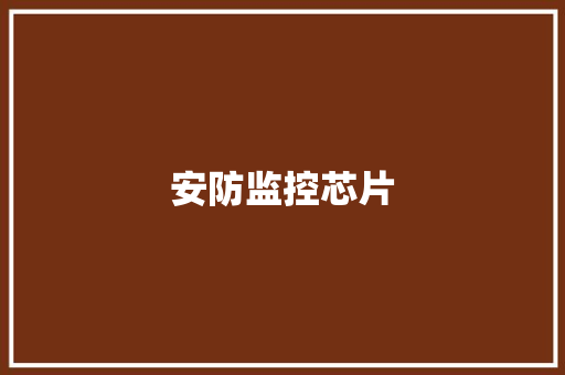安防监控芯片