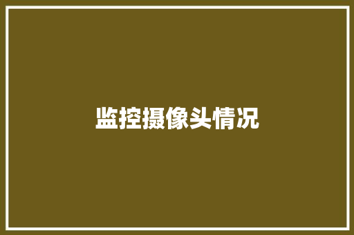 监控摄像头情况