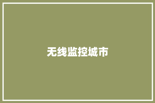 无线监控城市