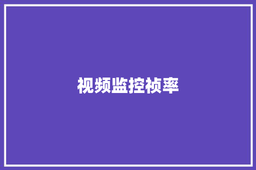 视频监控祯率