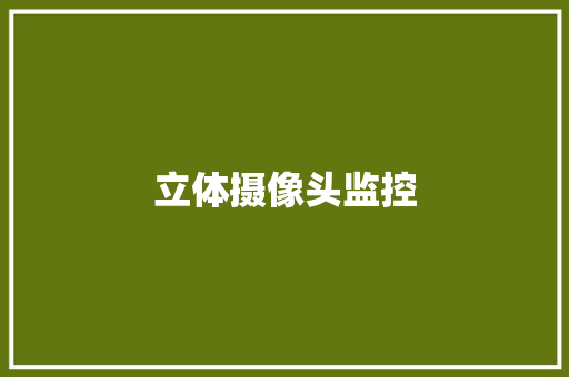 立体摄像头监控