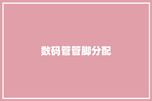 数码管管脚分配