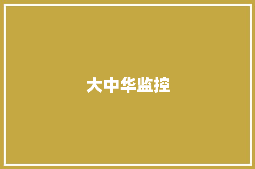 大中华监控