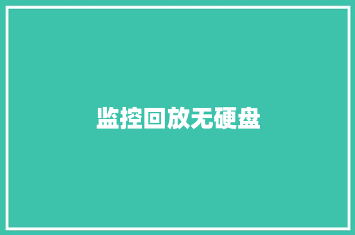监控回放无硬盘