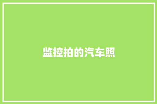 监控拍的汽车照