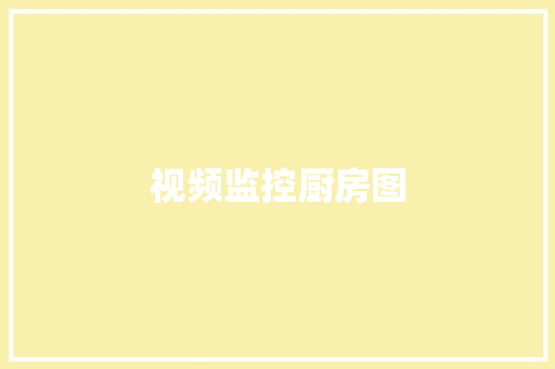 视频监控厨房图,监控安装公司。