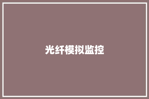 光纤模拟监控