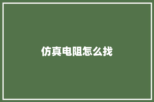 仿真电阻怎么找,电阻测试仪。