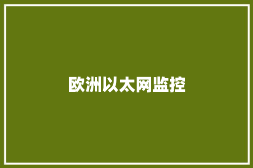 欧洲以太网监控
