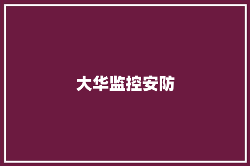 大华监控安防