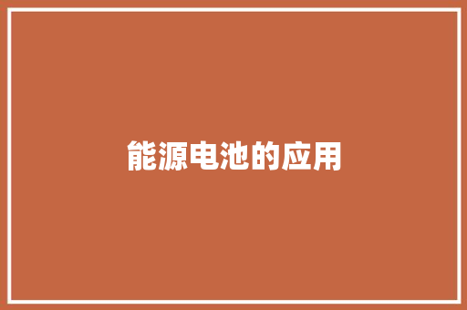 能源电池的应用,化学电池的工作原理。