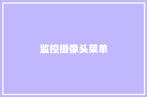 监控摄像头菜单
