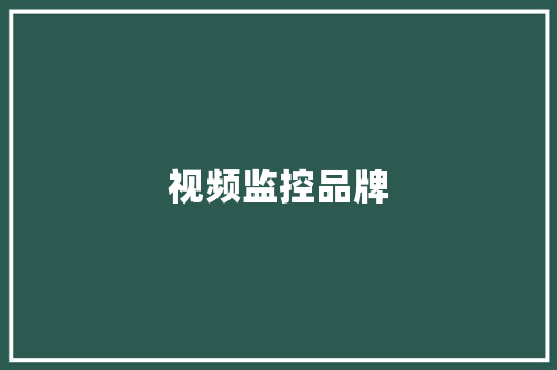 视频监控品牌 视频监控品牌 人工智能