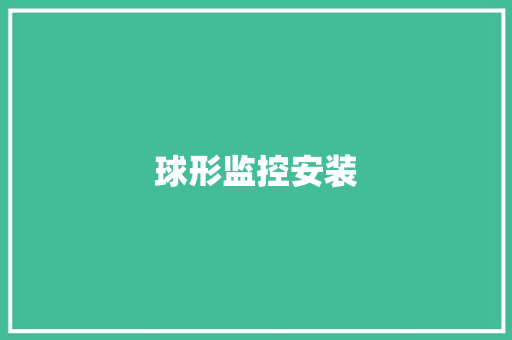 球形监控安装,摄像机品牌前十名。