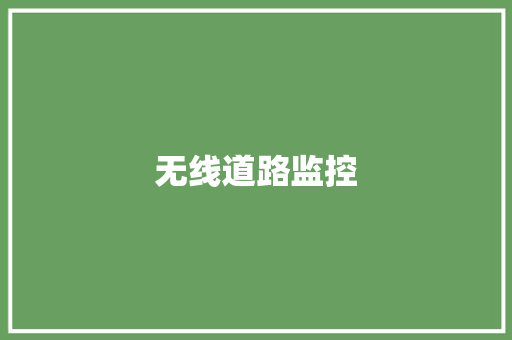 无线道路监控