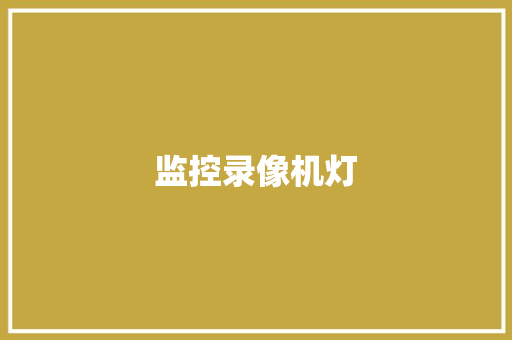 监控录像机灯