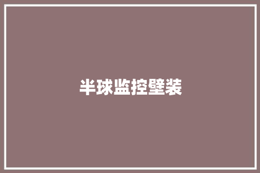 半球监控壁装