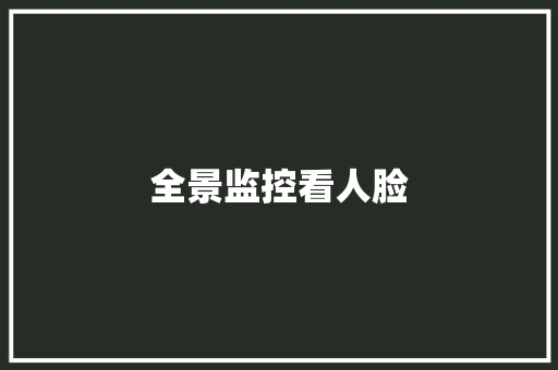 全景监控看人脸